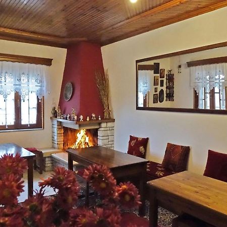 Traditional Guesthouse Alkistis Zagori エクステリア 写真