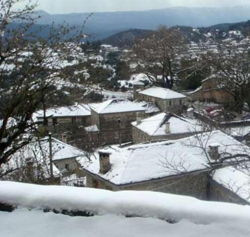 Traditional Guesthouse Alkistis Zagori エクステリア 写真
